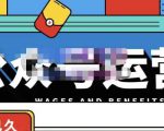 零零已久·从0-1运营公众号，零基础小白也能上手，系统性了解公众号运营-新手副业项目
