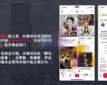 麦子互娱短视频带货·0基础做好物分享账号,无需出镜无需货源无需拍摄-新手副业项目