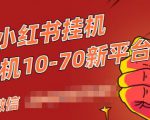 视频号小红书抖音挂机项目，小白无脑操作，按照要求来，单号每天几十米-新手副业项目