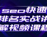 seo快速排名实战讲解视频课程，揭秘seo快排原理-新手副业项目