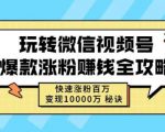 玩转微信视频号爆款涨粉赚钱全攻略，快速涨粉百万变现万元秘诀-新手副业项目