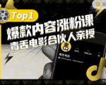 【毒舌电影合伙人亲授】抖音爆款内容涨粉课，5000万抖音大号首次披露涨粉机密-新手副业项目