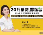 叶小鱼21天短视频文案拆书营，学完轻松搞定各类书单短视频文案-新手副业项目