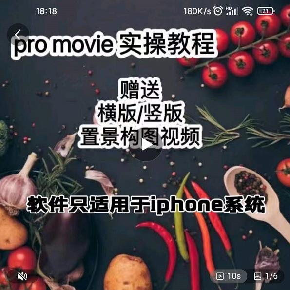 漆十二美食摄影，25​节promovie实操高手课节-新手副业项目