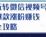 玩转微信视频号爆款涨粉赚钱全攻略，让你快速抓住流量风口，收获红利财富-新手副业项目