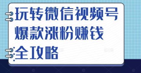 玩转微信视频号爆款涨粉赚钱全攻略,让你快速抓住流量风口,收获红利财富-新手副业项目