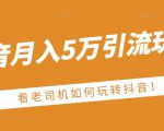 老古董·抖音月入5万引流玩法，看看老司机如何玩转抖音(附赠：抖音另类引流思路)-新手副业项目