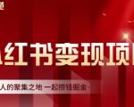 渣圈学苑·小红书虚拟资源变现项目，一起捞钱掘金价值1099元-新手副业项目