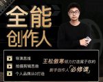 王松傲寒·全能创作人思维课，帮你打造创作人IP，全面提升导演思维-新手副业项目