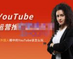 外国人眼中的YouTube该怎么玩?Elisa·YouTube运营推广实战技巧-新手副业项目