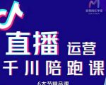 美尊-抖音直播运营千川系统课：直播​运营规划、起号、主播培养、千川投放等-新手副业项目