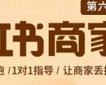 贾真-小红书商家营第6期商家版，21天带货陪跑课，让商家丢掉付流量-新手副业项目