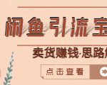 闲鱼引流宝妈粉+卖货赚钱一个月收益30000+（实操视频教程）-新手副业项目