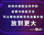 张sir账号流量增长课，告别海王流量，让你的流量更精准-新手副业项目