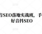 王通·抖音SEO落地实战班,手手带你做好音抖SEO-新手副业项目