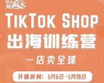 疯人院:TikTok Shop出海训练营（一店卖全球)，出海抢占全球新流量-新手副业项目