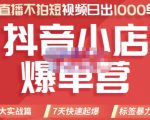 推易电商·2022年抖音小店爆单营，不直播、不拍短视频、日出1000单，暴力玩法-新手副业项目