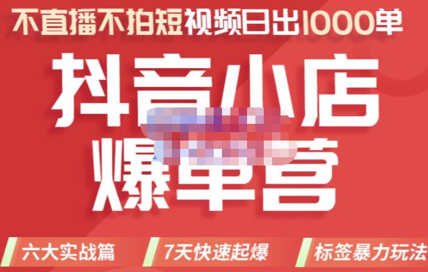 推易电商·2022年抖音小店爆单营，不直播、不拍短视频、日出1000单，暴力玩法-新手副业项目