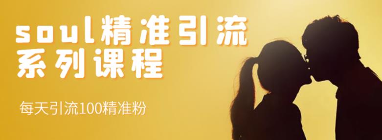 soul精准引流系列课程，每天引流100精准粉-新手副业项目
