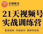张萌21天视频号实战训练营，裂变涨粉、内容创作、视频号变现 价值298元-新手副业项目