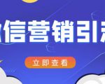 微信营销策划引流系列课程，每天引流100精准粉-新手副业项目