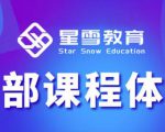 星雪教育淘系高级班，更全的运营提升方案，零基础由浅入深，店铺最新玩法-新手副业项目