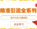 闲鱼精准引流全系列课程，每天引流100精准粉【视频课程】-新手副业项目