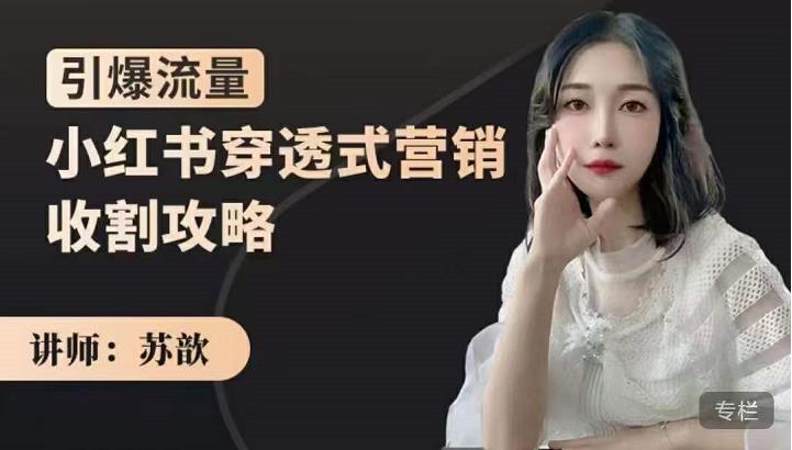 苏歆：小红书穿透式营销收割攻略，引爆流量，助你玩转小红书-新手副业项目