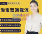 2022淘宝蓝海截流攻略,淘宝蓝海截流选品上货实操讲解-新手副业项目