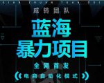 引流哥蓝海暴力躺赚项目：无需发圈无需引流无需售后，每单赚50-500（教程+线报群)-新手副业项目