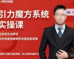 阿呆-引力魔方系统实操课，全体系实战教学，助你快速掌握推荐流量底层逻辑-新手副业项目
