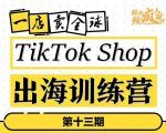 TikTokShop出海训练营（第十三期），打开全球流量新思维，出海抢占全球新流量，一店卖全球-新手副业项目