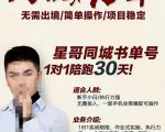 星哥同城教育书单号课程，无需出境简单操作项目稳定-新手副业项目