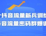 Peter抖音流量新兵训练营-破解抖音流量密码群爆训练营(新兵)-新手副业项目