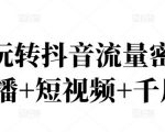 2022玩转抖音流量密码,(直播+短视频+千川)-新手副业项目