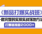 凌童《新品打爆实战班》,一套完整的实操实战落地方法，打爆链接超2000+（28节课)-新手副业项目