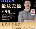 小马哥-Dou+投放实操课，抖加投放，随心推，付费起号逻辑，打破低播放转化-新手副业项目