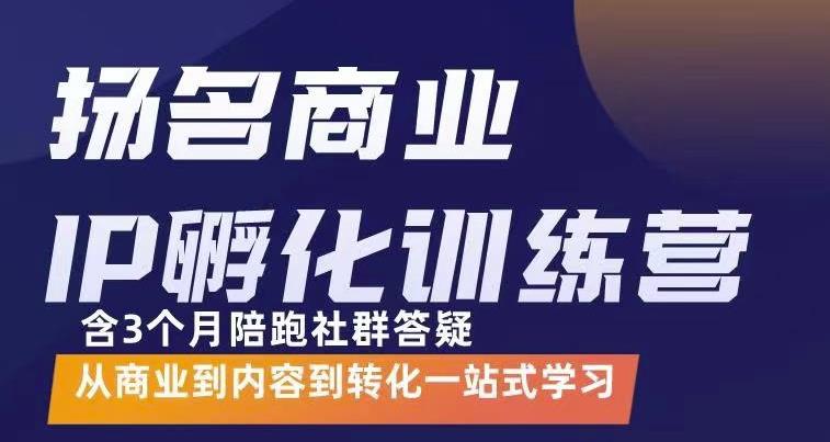 杨名商业IP孵化训练营，从商业到内容到转化一站式学 价值5980元-新手副业项目