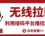 最新接码无限拉新项目，利用接码平台赚拉新平台差价，轻松日赚500+-新手副业项目