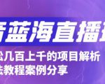 抖音最新蓝海直播玩法，3分钟赚30元，一天轻松1000+，只要你去直播就行【详细玩法教程】-新手副业项目