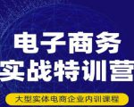 民赛电气内部出品：电子商务实战特训营，全方位带你入门电商，308种方式玩转电商-新手副业项目