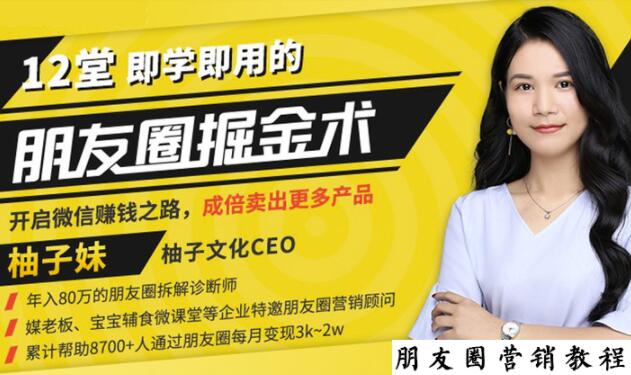 【营销必学】12堂学之即用的朋友圈掘金术:开启你的副业赚钱之路-新手副业项目