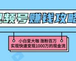 玩转微信视频号赚钱：小白变大咖涨粉百万实现快速变现1000万的现金流-新手副业项目