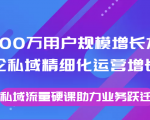 8000万用户规模增长方法论私域精细化运营增长，私域流量硬课助力业务跃迁-新手副业项目