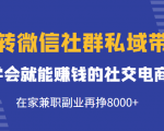 玩转微信社群私域带货，学会就能赚钱的社交电商，在家兼职副业再挣8000+-新手副业项目