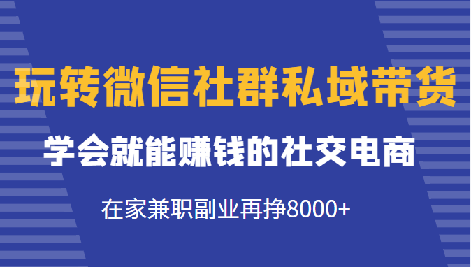 玩转微信社群私域带货,学会就能赚钱的社交电商,在家兼职副业再挣8000+-新手副业项目