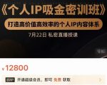 个人IP吸金密训班，打造高价值高效率的个人IP内容体系（价值12800元）-新手副业项目