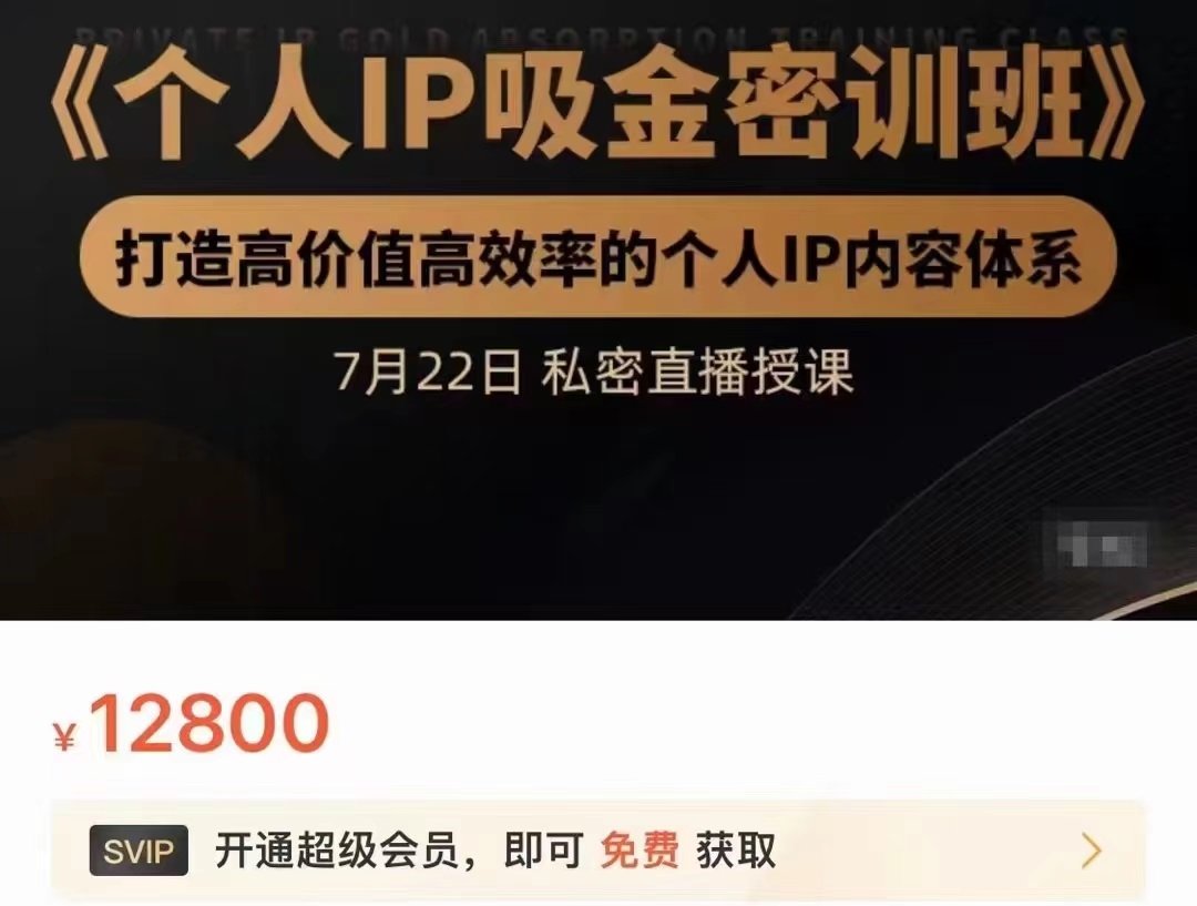个人IP吸金密训班,打造高价值高效率的个人IP内容体系(价值12800元)-新手副业项目