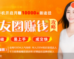 全网千万人气导师亲授：零基础/易上手的朋友圈赚钱攻略，让你轻松月入过万-新手副业项目