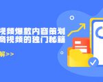 带货短视频爆款内容策划，关于电商视频的独门秘籍（价值499元）-新手副业项目